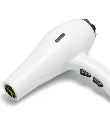 ADITAM 2000W Hair Dryer Nano Ionic Blow Dryer Professional Salon Hair Blow Dryer Lightweight Fast Dry Low Noise with Concentrator Diffuser 2 Speed and 3 Heat Settings Double The Comfort