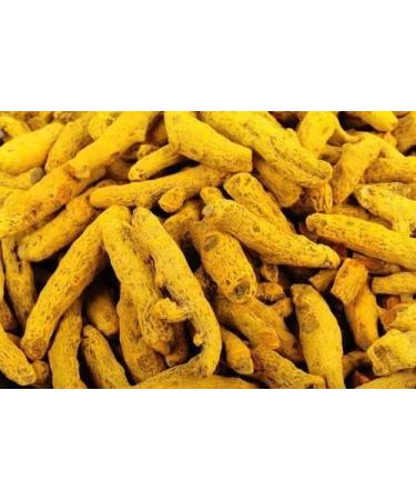 AWADH- Organic Nature Whole Turmeric 400g | Sticks Haldi | Gatiya Sabut Haldi | Whole Haldi | Desi Haldi | Puja Haldi | Whole Pasupu | Whole Spices | Sabut Masale - Buy Online on GoSupps.com