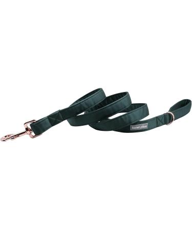 Lionet Paws Dog Leash - Premium Silk Leash for Small Medium & Large Dogs - Matching Collars for Boys & Girls - Green (Pack of 1) - International Shipping Available - Buy Online on GoSupps.com