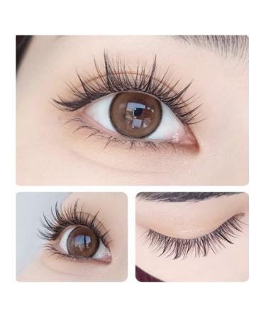 Buy Large Capacity Lash Book - 20D Premade Fans & Natural DIY Lash Extensions | Striped Ultrafine for Beginners - Trilogy/Sunflower Styles - Buy Online on GoSupps.com
