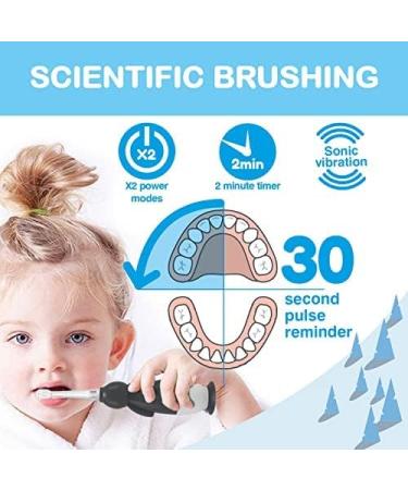 Brush-Baby WildOnes Kids Electric Toothbrush Penguin | Rechargeable | 3 Brush Heads | USB Charging | Ages 0-10 - Buy Online on GoSupps.com