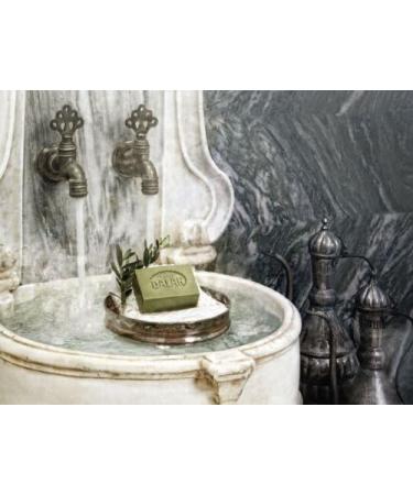 Dalan D'Olive Liquid Soap 0.31 kg 8690529002238 Olive Oil Green - Buy Online on GoSupps.com