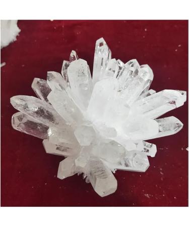 Very Beautiful Natural Raw Quartz White Clear Stones Point Home Decoration Raw Crystals (Size : 500-600g) Home Goods (Size : 500-600g) - Buy Online on GoSupps.com