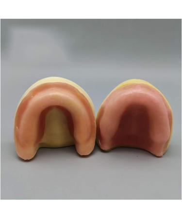 Fhuili Dental Implant Practice Model - Gum-Free Distental Model for Advanced Training - Buy Online on GoSupps.com