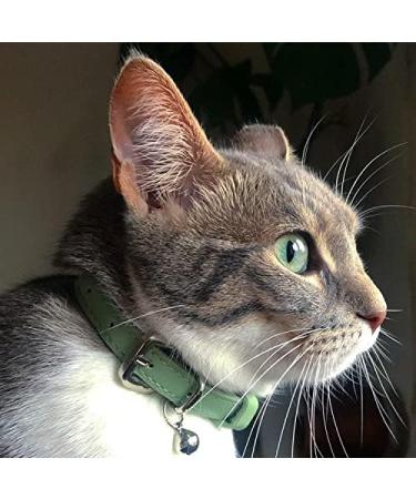 Animal Outfitters UK Purrfect Pastel Collection Cat Collar | Mint Silver Bell | Adjustable Breakaway Kitten Collar - Buy Online on GoSupps.com