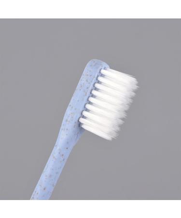 Travel-Friendly Organic Toothbrush Set - 6 Boxes of 8 Pieces | Portable Couple's Oral Care Essentials - Buy Online on GoSupps.com
