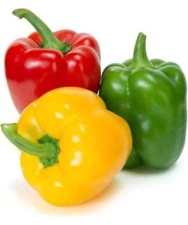 Seelans Fresh Mixed Paprica Pack | 500G | Capsicum | 100% Fresh Vegetable | Indian Origin | Next Day Shipping