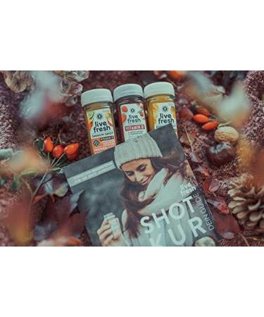LiveFresh Immune Shot Cure | Boost Immunity with Ginger Shots | Vitamin D & C | 3 Daily Shots for 2 Weeks | Autumn & Winter Health Boost - Buy Online on GoSupps.com