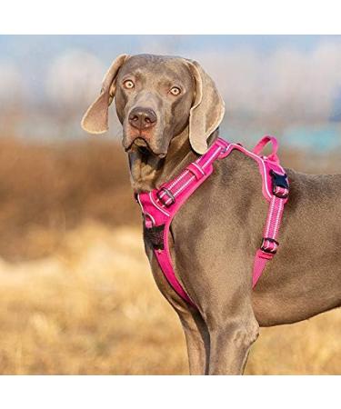 Truelove No Pull Dog Harness - Reflective Adjustable Soft Padded Vest with Handle | TLH56512 - Fuchsia - Buy Online on GoSupps.com