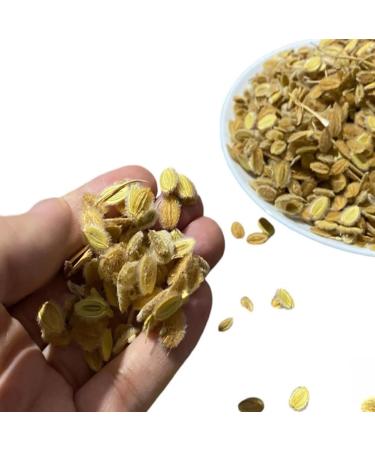  Tazarin LTD 100 g Velu Cumin - Sufi Kamoune - Sufi Cumin - Digestive Regulator - Natural Anti-inflammatory - Detoxifying - Relieves Bloating - 100% Natural Pure and No Additives | Superior Quality - Buy Online on GoSupps.com