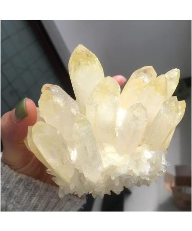 Crystal Hole Stone Crafts 1PC Natural Citrine Phantom Quartz Crystal Cluster Specimen Crystal Hole (Size : 500-550g) - Buy Online on GoSupps.com