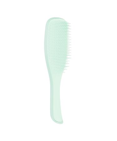 Tangle Teezer The Wet Detangler hairbrush for fine and brittle hair Jade Lagoon Single