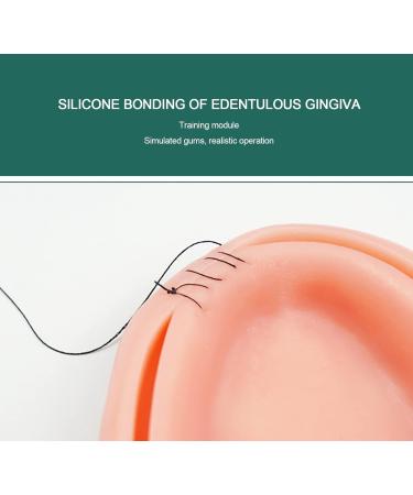 Lmeil 2 Dental Training Sets - Oral Practice Kits for Dental Students | Wound Cutting & Seam Exercises - Buy Online on GoSupps.com