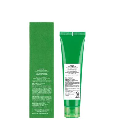 Papa Recipe Tea Tree Control Soothing Cream(3.38fl oz/100ml) - Soothing & Hydrating Face Moisturizer Cream for Dry Skin Oil Water Balance Care Sensitive Acne-Prone Skin Friendly Korean Face Cream - Buy Online on GoSupps.com
