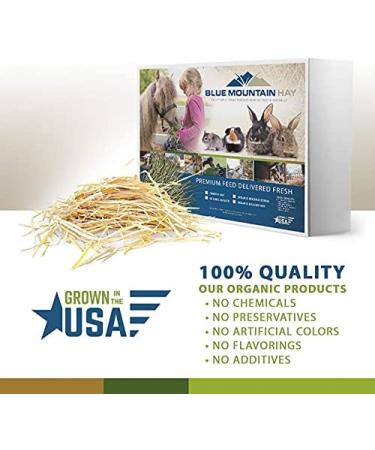 Organic Blue Mountain Hay Bedding Straw for Small Pets & Chickens - 3 lb Fresh Farm Delivery - Buy Online on GoSupps.com