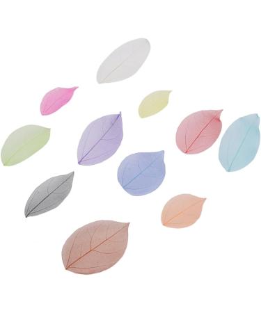 TEHAUX 200 Pcs Leaf Skeleton Art Natural Rubber Leaves Skeleton Natural Leaves Wedding Decor Leaves Charm Pendants Artificial Leaves Craft Skeleton Leaf Bamboo Phone Case Craft Leaf As Shownx2pcs Mx2pcs - Buy Online on GoSupps.com