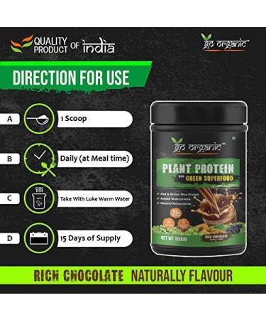 Kavir Vegan Plant Protein Herbs Antioxidants Digestive Enzymes (Natural Chocolate Flavor) Green 500 g - Buy Online on GoSupps.com
