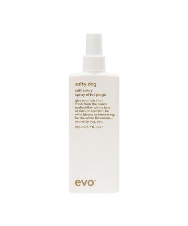 evo Salty Dog Salt Spray - Hair Texture & Volume Spray - Beach Textured Hair Natural Matte Finish - 200ml / 6.8fl.oz 200 ml (Pack of 1)