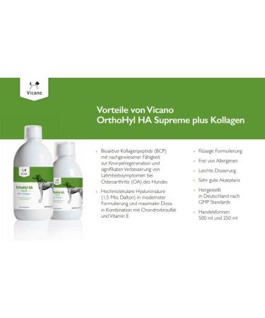 Vetvital Viequo Orthohyl HA Supreme Plus Collagen 500ml - Joint Mobility & Resilience Supplement for Dogs | International Shipping Available - Buy Online on GoSupps.com