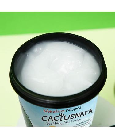 Buy Mexico Nopal Cactus Soothing Gel Cream | Korean Skin Care Refreshing Moisturizer - CACTUSNARA - Buy Online on GoSupps.com