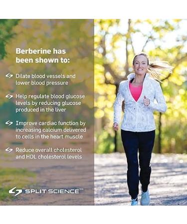 Split Science Berberine 500 mg per capsule| Pack of 3 270 Easy to Swallow Capsules | Non-GMO Gluten-Free Vegan | Suppports Cardiovascular Health & Glucose Metabolism - Buy Online on GoSupps.com