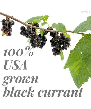 USA Grown Unsweetened Dried Black Currants - Perfect for Baking - 3.5 oz - Buy Online on GoSupps.com