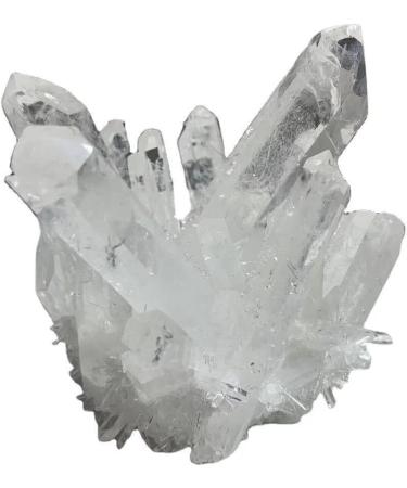 Natural Crystal Rough 400G-700G Raw Natural White Clear Quartz Cluster Rough Crystal Geode 1pc (Size : 1PC 600G-700G) - Buy Online on GoSupps.com