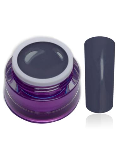Color Gel Shae Grey Purple Grey UV LED Nail Gel Studio Quality Color Gel RM Beautynails 1 Pack (1x 5ml)