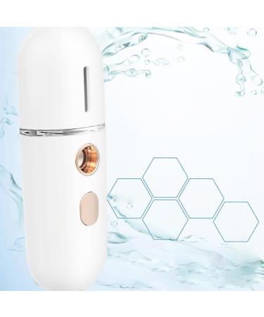 Rechargeable Hand-held Facial Mister Portable Hydrating Professional Face Humidifier Sprayer - Buy Online on GoSupps.com
