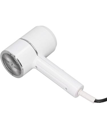 Portable Hair Dryer US Plug 110V Portable Hair Blower Negative Ion for Home - Buy Online on GoSupps.com