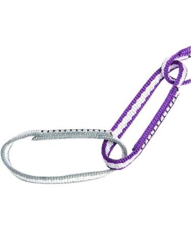 Metolius Alpine PAS Sling Purple/Silver 38 - Durable and Versatile Climbing Gear - Buy Online on GoSupps.com