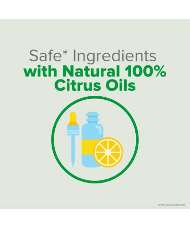 Citrus Magic Natural Odor Eliminating Air Freshener Spray 6oz - Fresh Citrus (Pack of 2) - Buy Online on GoSupps.com