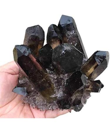 Natural Crystal Rough 500g-650g Natural Black Smoky Crystal Quartz Stone Specimen Cluster 1pc - (Color: 1PC) - Buy Online on GoSupps.com