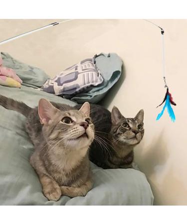 JJYPET Retractable Cat Toys Wand - 12 Pack Interactive Feather Toys with 9 Assorted Teaser Refills for Cat Kitten - Buy Online on GoSupps.com