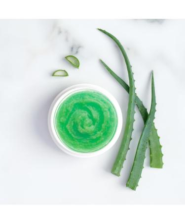 Green Tea Honey Sugar Body Scrub Gentle Exfoliating Sugar Scrub with Hydrating Honey for Smooth Revitalized Skin by BeBeauty 16 Ounce - Buy Online on GoSupps.com