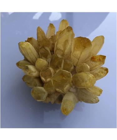 Natural Crystal Rough Stone Crafts Natural Yellow Ghost Phantom Quartz Crystal Cluster Specimen Home Decoration Office Living Room Crystal Decora (Size : 250-300g) - Buy Online on GoSupps.com