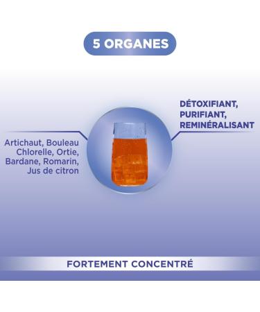 Fort Pharma - Fort Detox 5 Organs | Artichoke Birch and Burdock Intestine Supplement - Global Detox Liver Detox Elimination Purifies the Body & Skin 500 ml 10 days - Buy Online on GoSupps.com