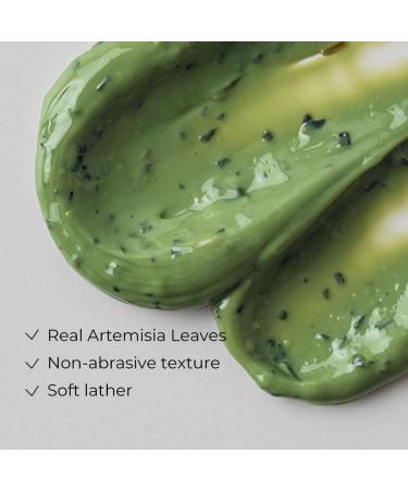 Artemisia Steam Mask Korean Warming Clay Mask for Deep Pore Cleansing Acne Control & Oil Balancing Kaolin & Centella for Inflamed Oily & Acne-Prone Skin Detoxifying 1.76 oz. - Buy Online on GoSupps.com