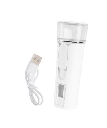 Healeved 1pc Spray Hydrating Apparatus Mist Sprayer USB Face Mist Facial Mizer Face Humidifier Portable Abs
