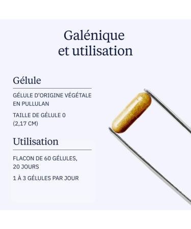 Shiitak Bio Extrait Concentr - 30% Polysaccharides 20% B ta-Glucanes - Extrait Totum - S chage basse temp rature - Full Spectrum - Immunit & Vitalit - 500 mg - 60 G lules Vegan - Dynveo - Buy Online on GoSupps.com