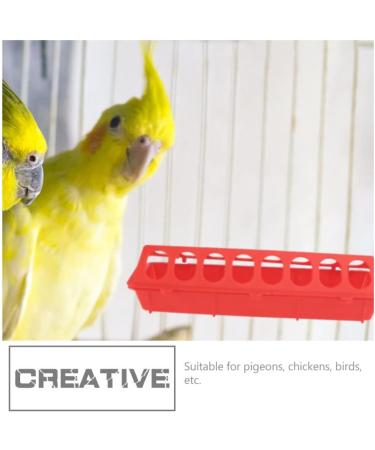 Happyyami 4pcs Pigeon Trough Poultry Feeder Bird Feeder Chicken Feeding Troug Chicken Plucker Quail Feeder Parrots Feeder Bowl Piggy Clamshell Household Plastic Drinking Fountain - Buy Online on GoSupps.com