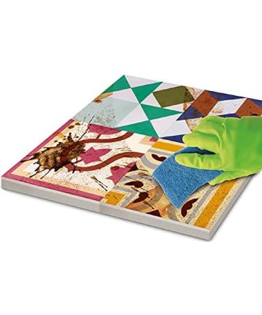 Special Degreaser for Hydraulic Mosaic 5L MONESTIR - Buy Online on GoSupps.com