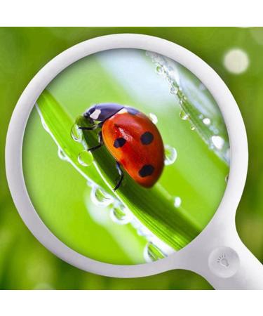 Tovmekdjn Optical Aspheric Magnifying Glass with 20 LED Lights with Light Reading Magnifying Glass Rechargeable - Buy Online on GoSupps.com