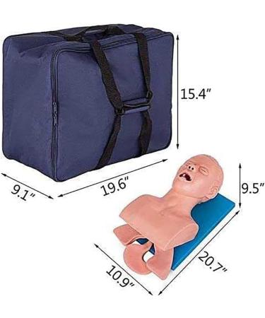 Adult Intubation Model - Realistic Tracheal Intubation Simulator for Airway Management Training - Buy Online on GoSupps.com