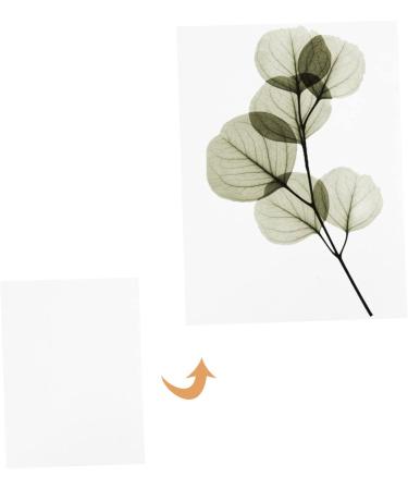 FRCOLOR Dried Flower Embossed Paper Preservation Kit for Oily Skin - 12 pcs Book Press Blotting Paper Set with Herbarium Perforation - White (Pack of 2) - Buy Online on GoSupps.com