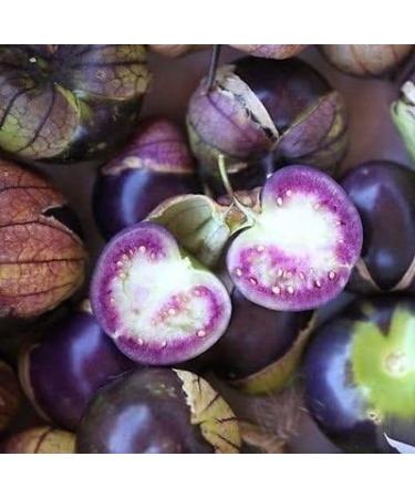 Viola Tomatillo Physalis Ixocarpa Salsa insalata di Verdure 100 semi - Buy Online on GoSupps.com