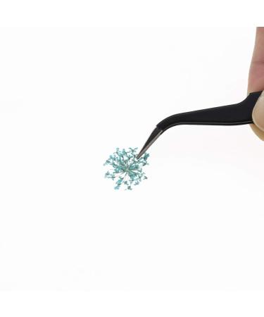 3 Boxes Nail Art Mixed Dried Flowers Kit - 3D Daisy & Gypsophila for Manicure Decoration - Includes Tweezers - Buy Online on GoSupps.com