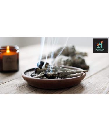 NIGHT White Sage Leaves for Smudging100g for cleansing healing Removing Negativity Dhuni Puja - Buy Online on GoSupps.com