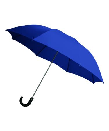 Rainbrella 2-Fold Auto Open Umbrella Blue
