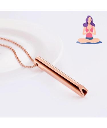 Anxiety Relief Necklace | Anapana Breathing Tool | Stainless Steel Meditation Practice | Stop Smoking Aid | Calming Gift for Women - Buy Online on GoSupps.com